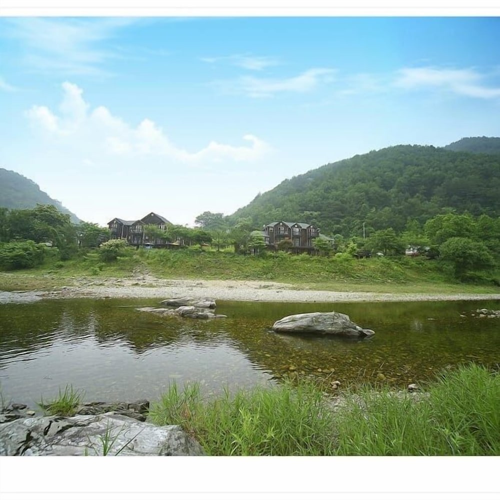 Caddis Pension