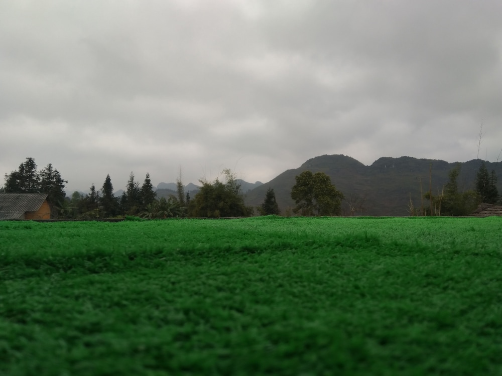 Photo 51