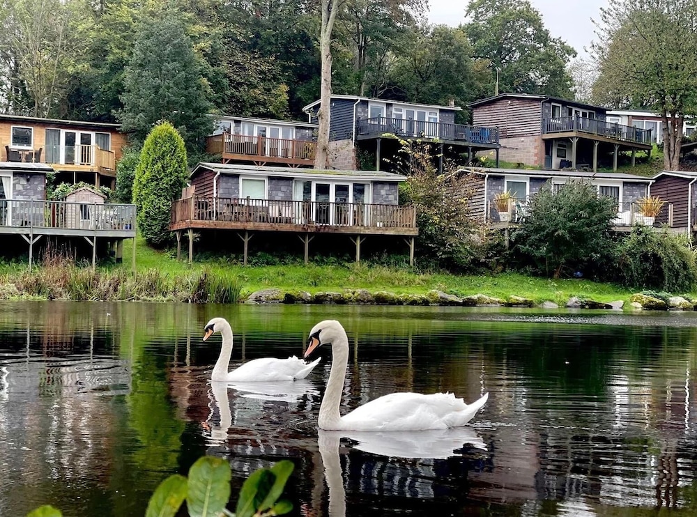 Crib Goch Cozy Dog-friendly Cabin Retreat