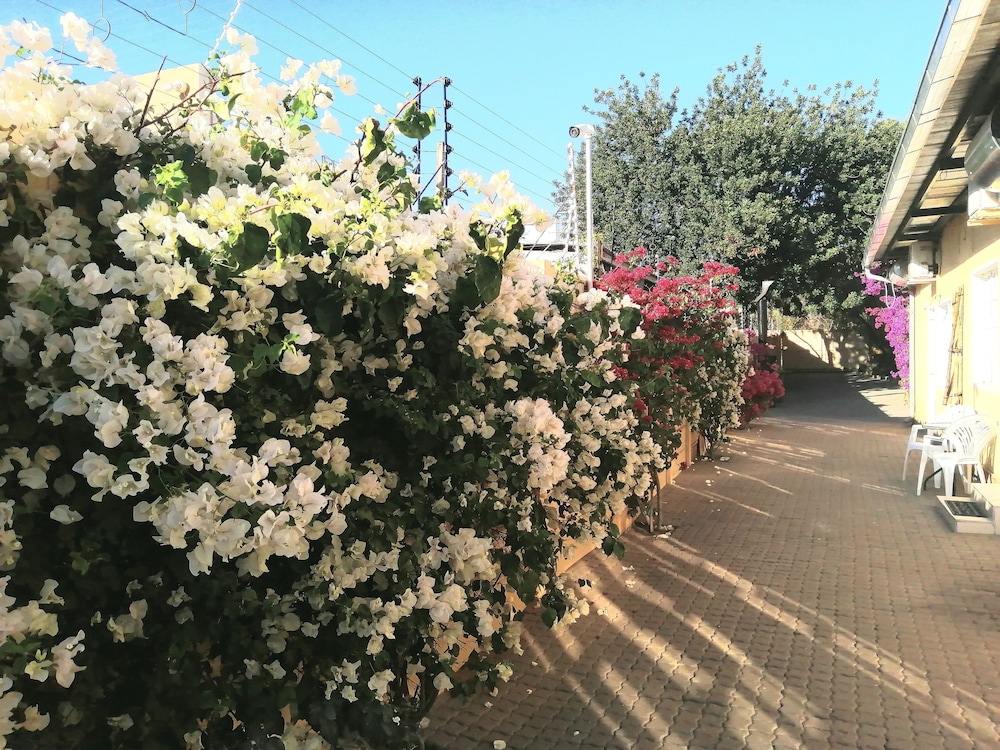 Capbon Guesthouse