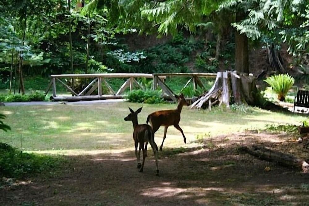 Creekside B & B