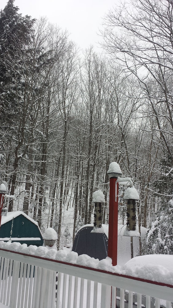 8 Acre Wood
