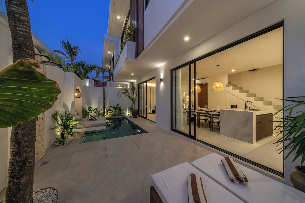 Nova Oasis 3