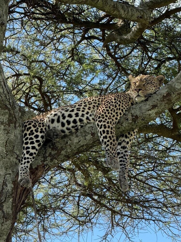Moyoni Africa Lodge & Tours