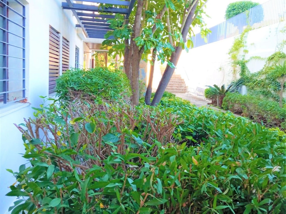 Sunny Garden Apartment