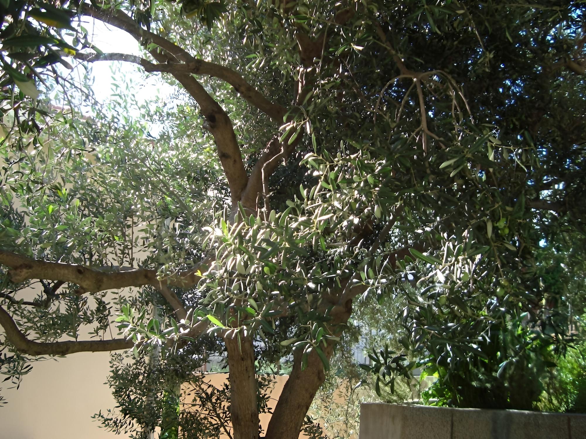 Photo 15