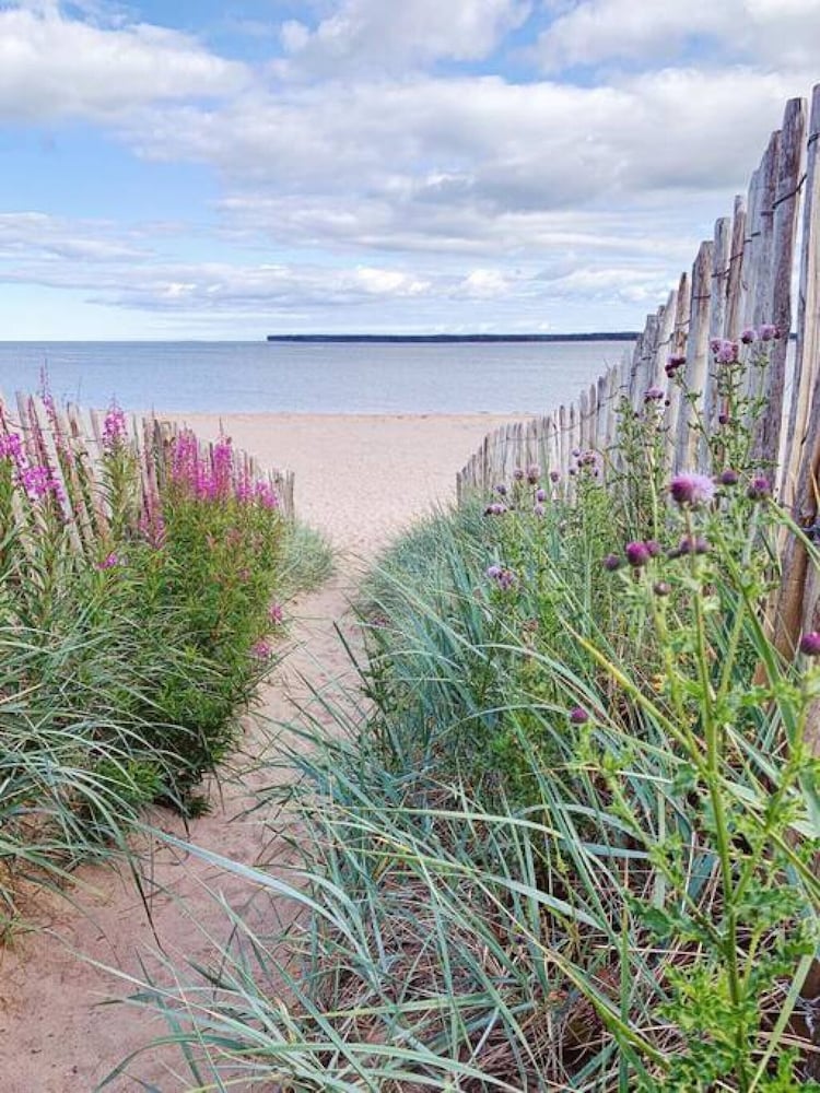 The Estuary Apartment - 2 Minutes From Beach view 2
