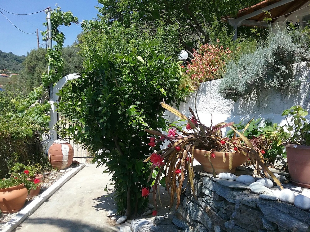 Photo 11