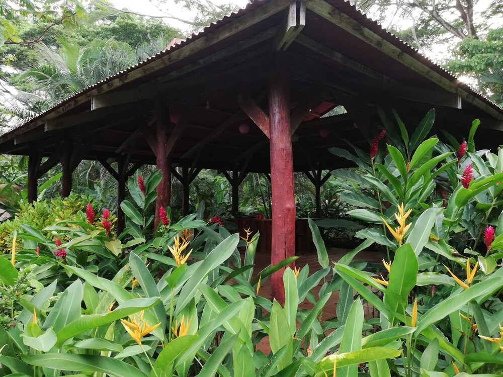 Photo 13