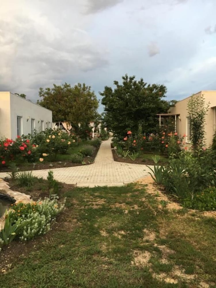 Photo 19