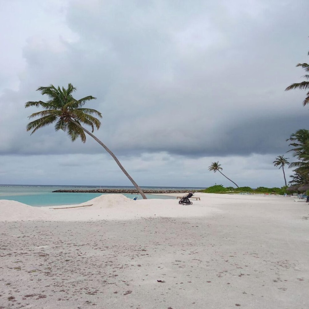 Sea Breeze View