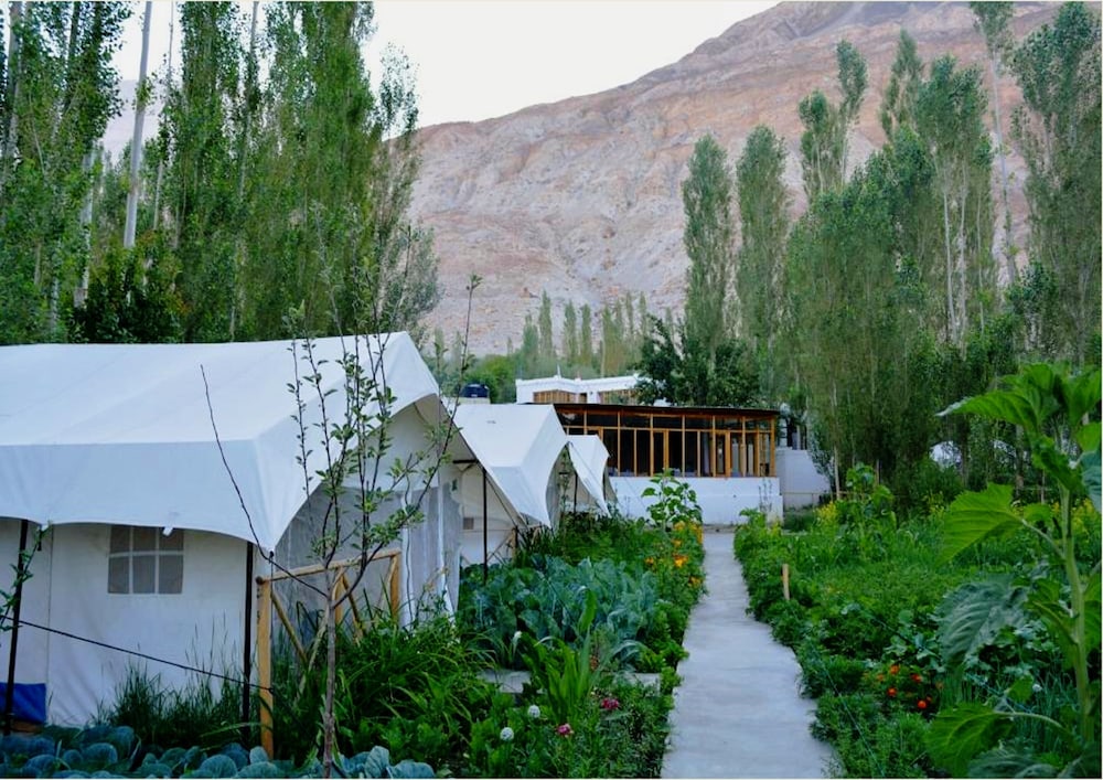 TIH Mystique Meadows Camp