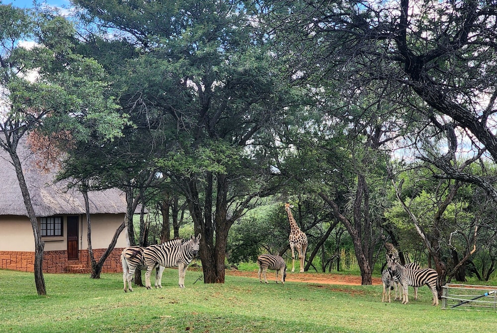 Buyskop Lodge