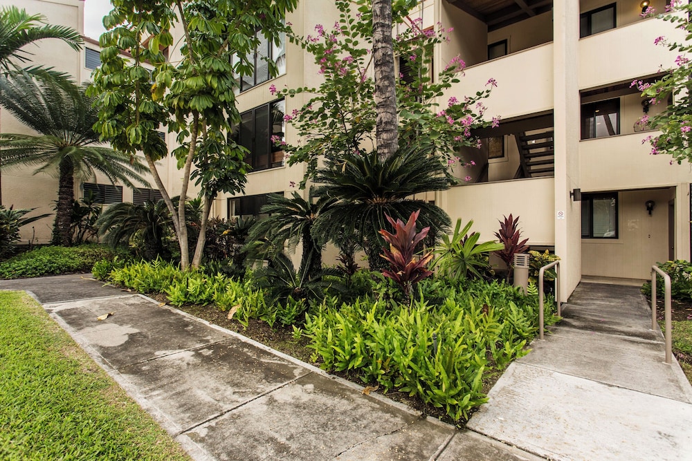 Exquisite Oceanfront Beautifully Upgraded Corner Unit - Vrkcv