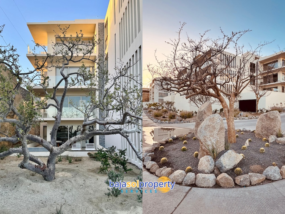 Oceanview Condo CaboCosta Balandra