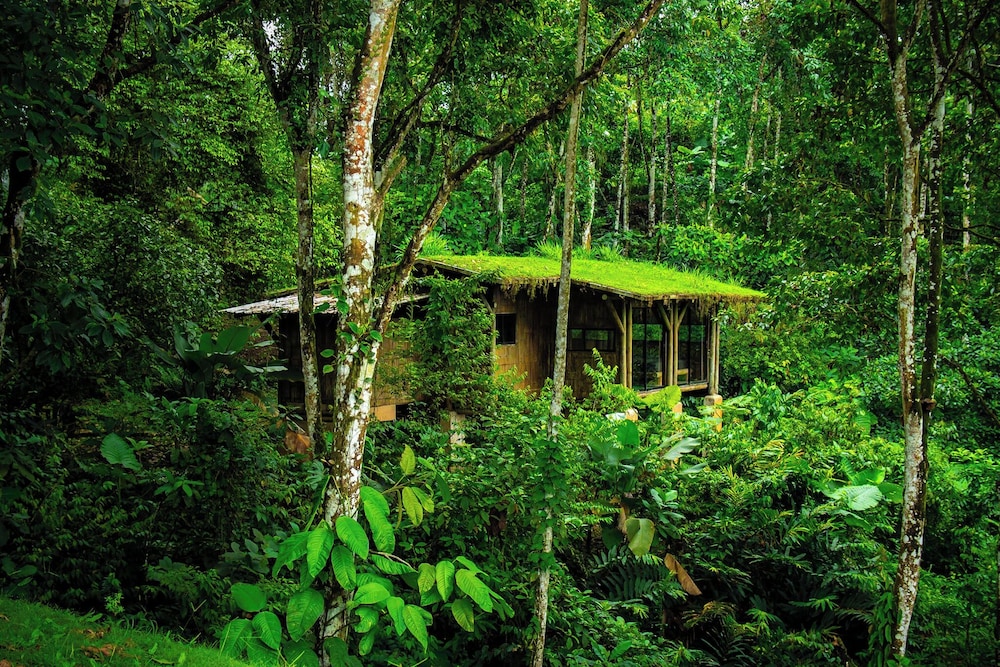 Jardin de los Suenos