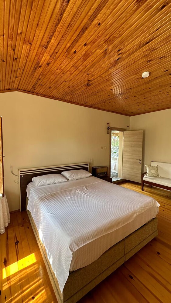 Sıcak Havuzlu Şömineli Jakuzili Villa