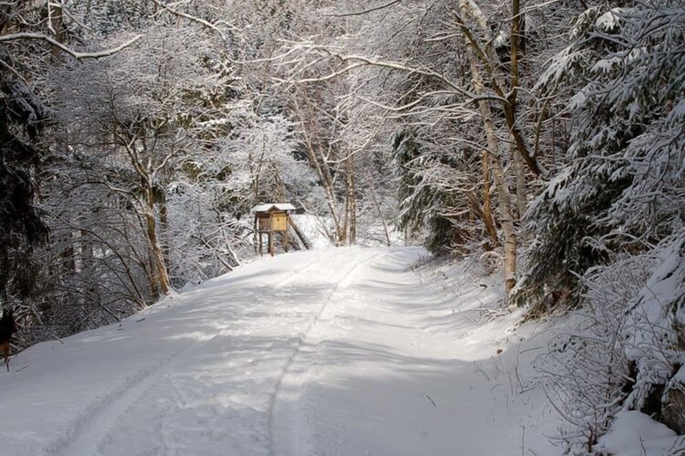 Doppelhaushalfte in Hasselfelde
