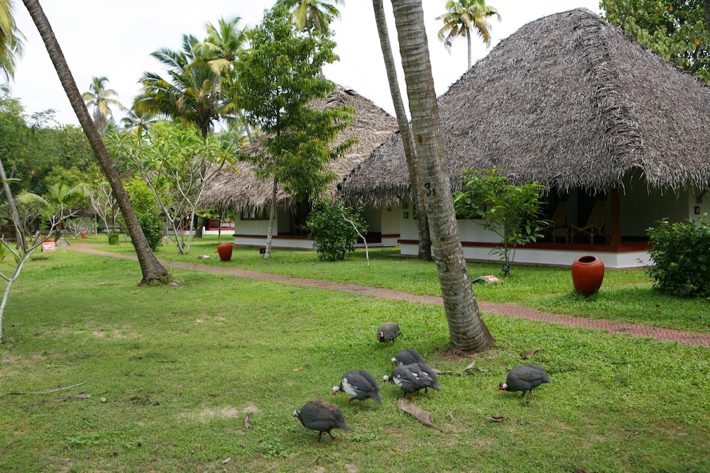 Marari Beach - Cgh Earth