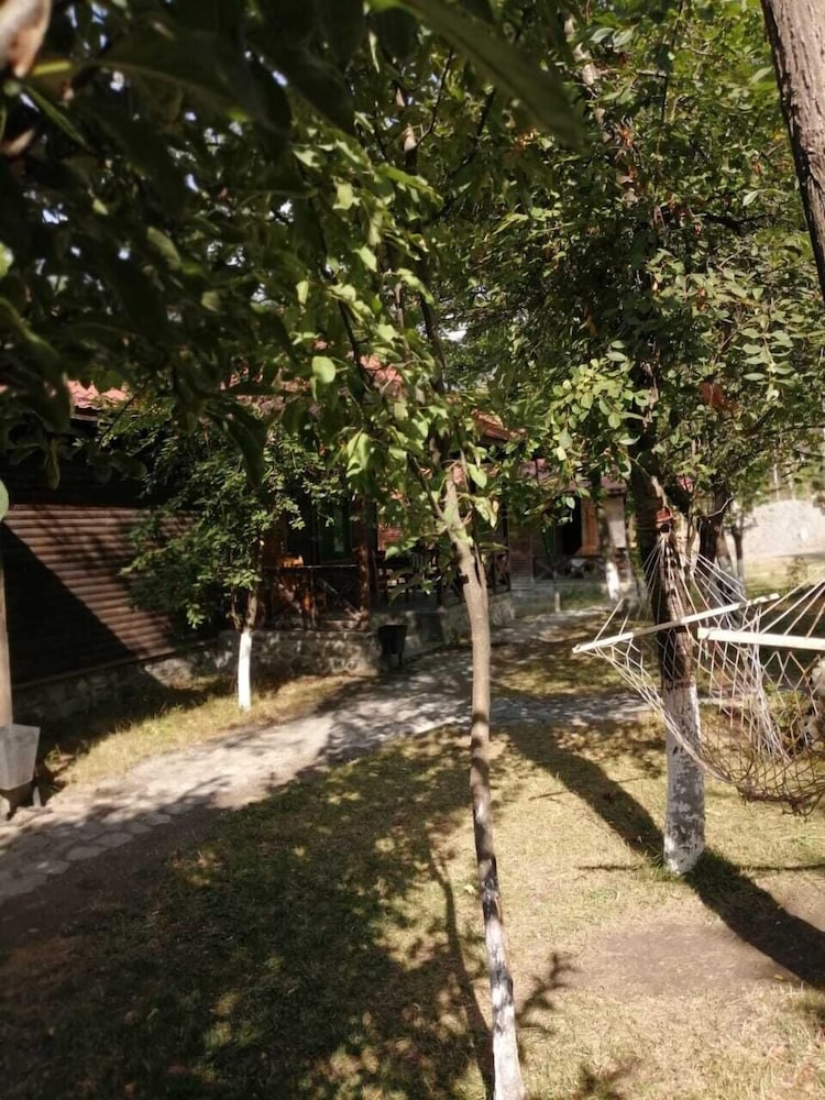 Photo 20