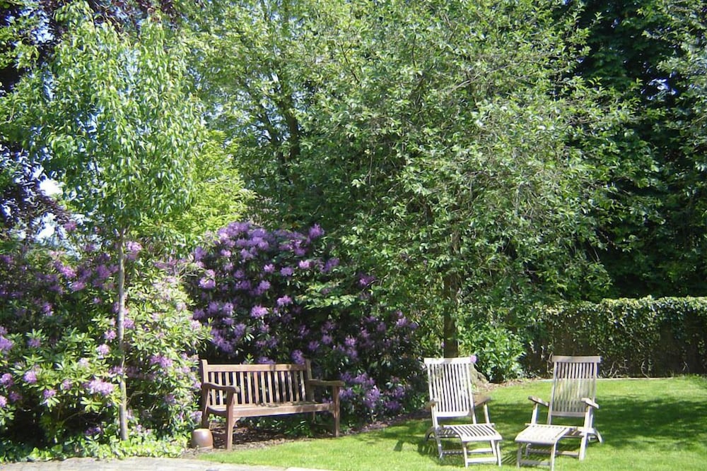 Wisteria