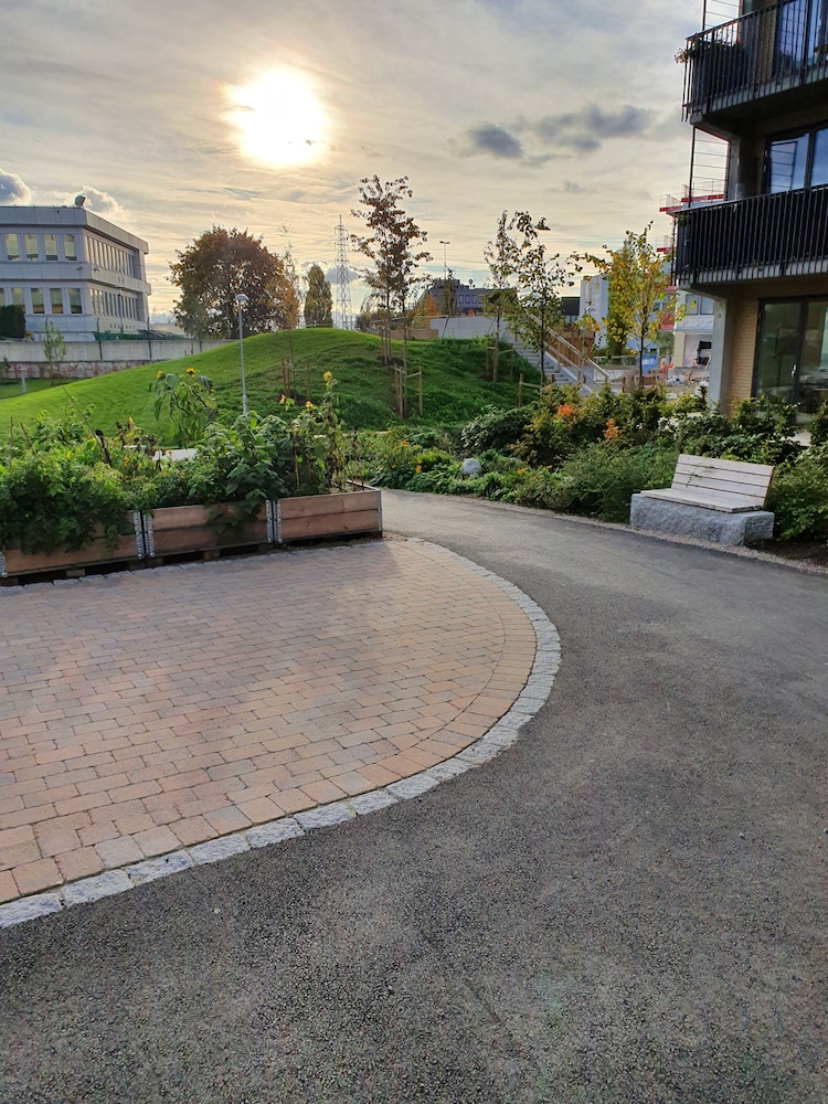 Oslo Golden Choice