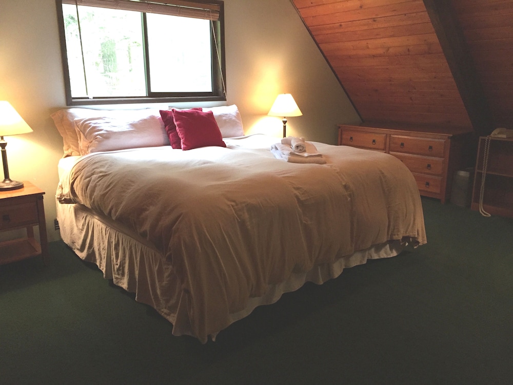 Snowline Cabin #98 A pet Friendly Cabin With a Wood Stove, hot tub and Wifi! view 3