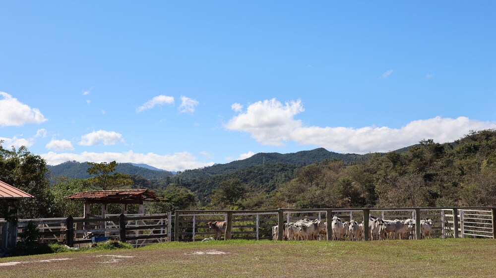 Rancho Topo da Montanha - Nova União MG