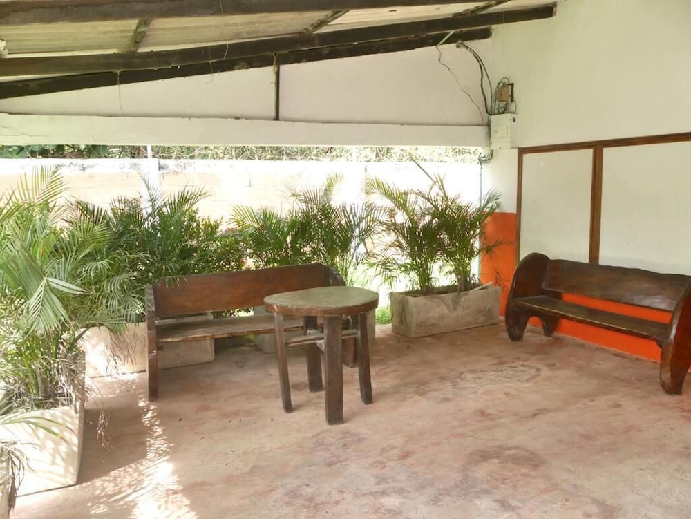Las acacias Tolu