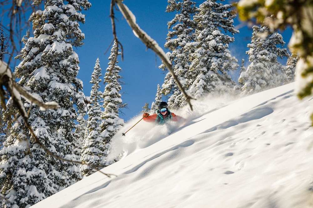 WestWall Lodge - Property Image 158