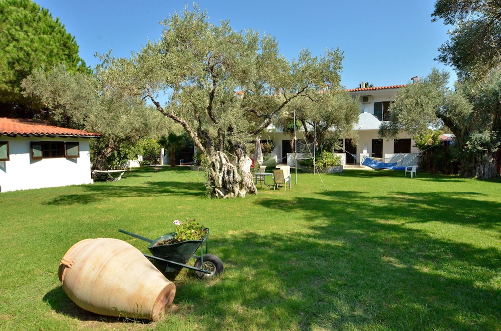 Photo 44