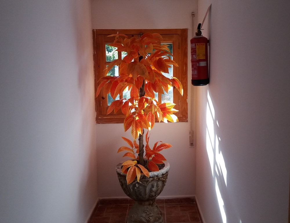 Hostal Rural Valverde photo 5