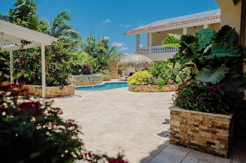 Spacious 4-bedroom Apartment 2 km From Eagle Beach - Dream Suites Aruba