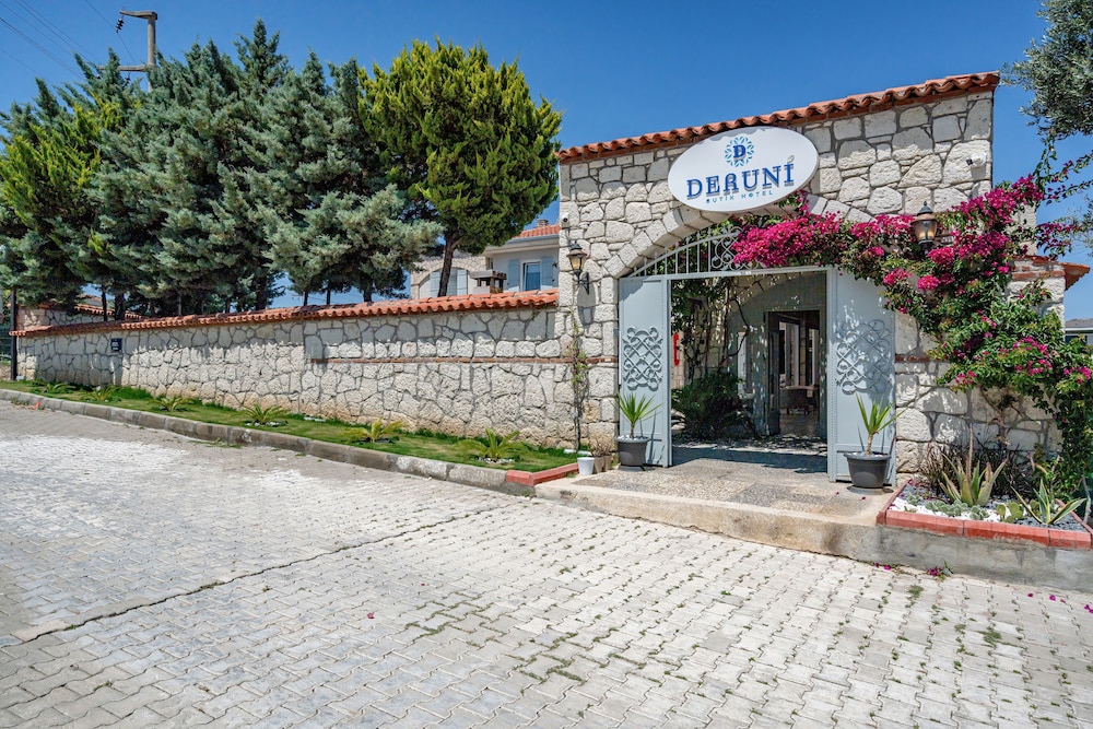 Deruni Ilıca - Image 47
