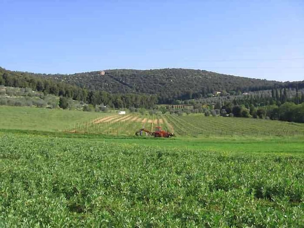Agriturismo Podere Ficareto