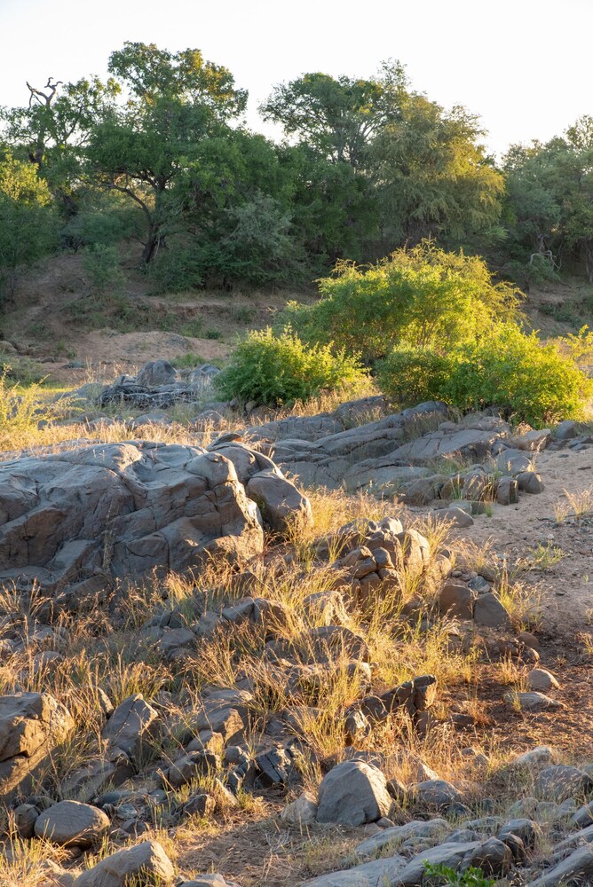 Villa Aloe Vera in Hoedspruit