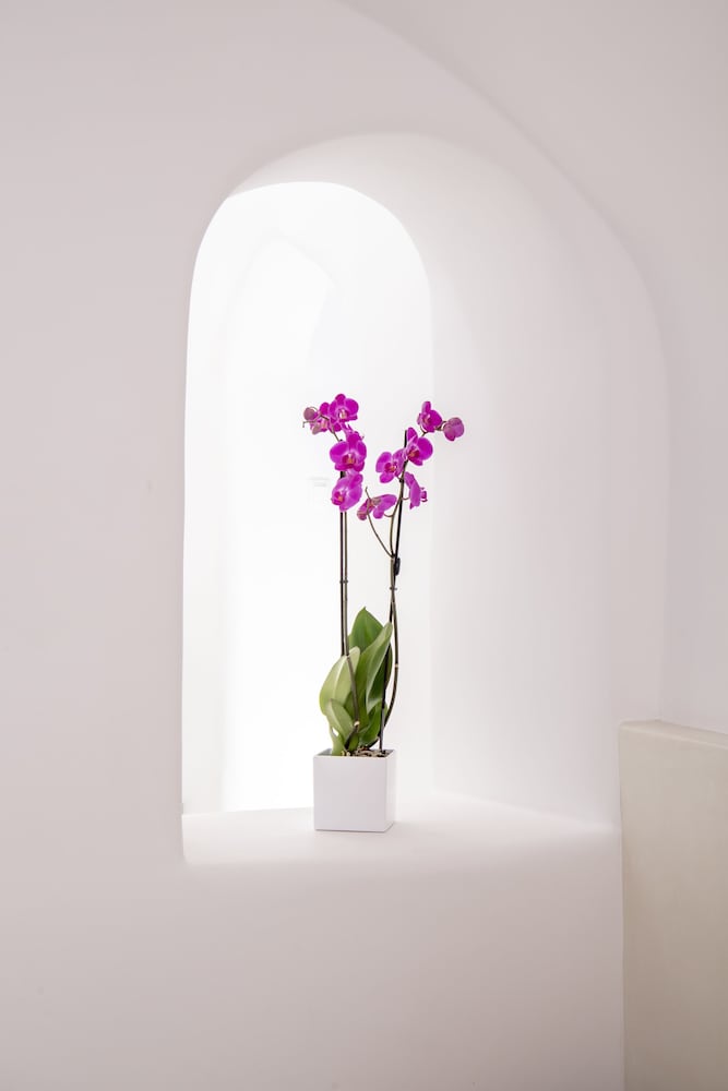 Anemi House & Villas