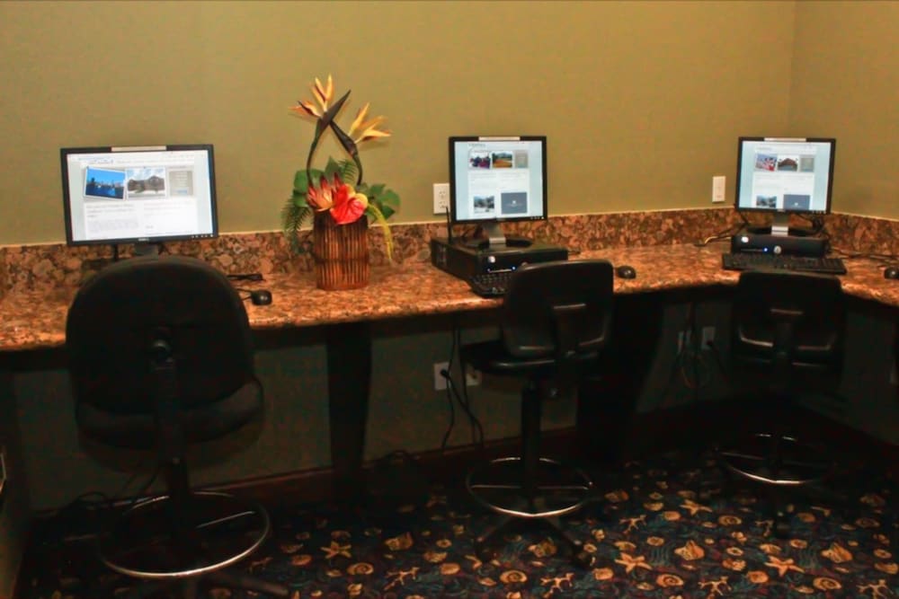 activities & amenities