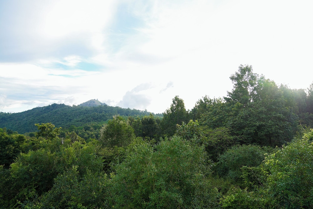 BlueHill Lotus Holistic Wellness Village