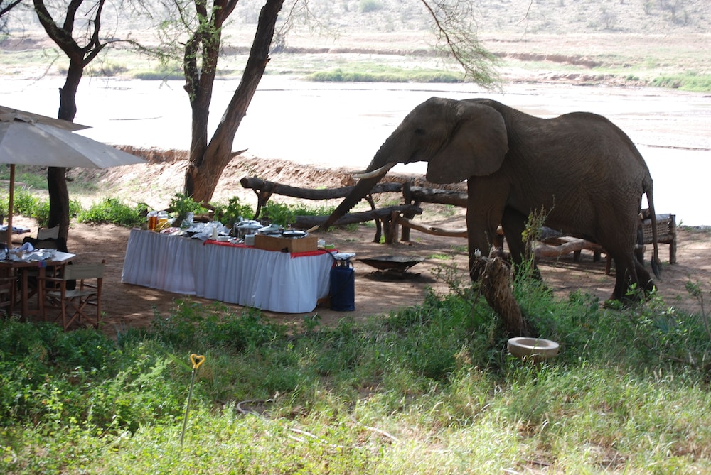 Elephant Bedroom Camp