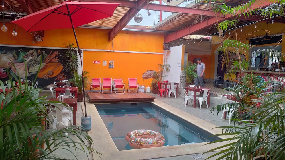 Iguana Co-living