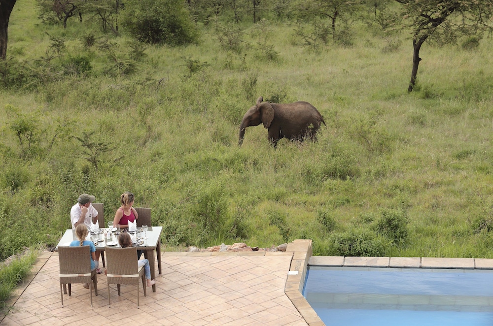 Spirit Of The Masai Mara