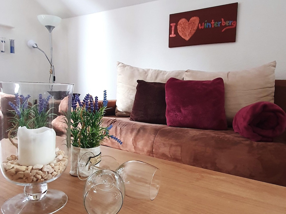 Winterberg Apartment Near Slopes