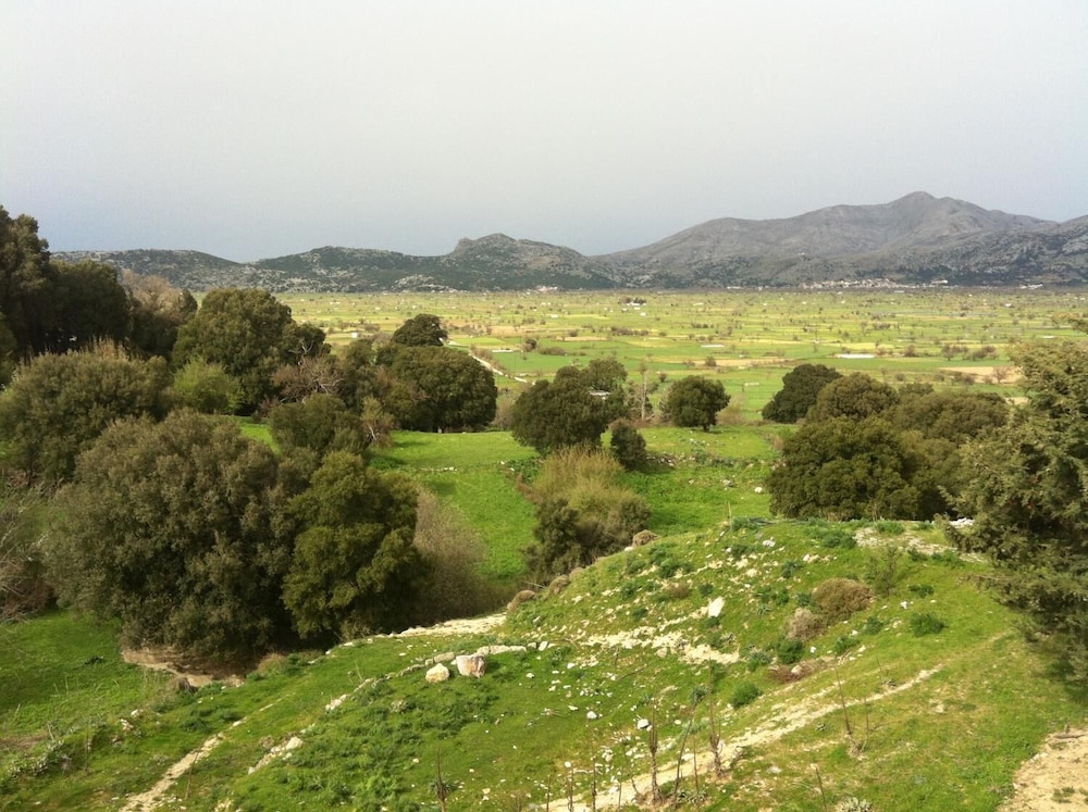 Dionysus Lasithi Plateau