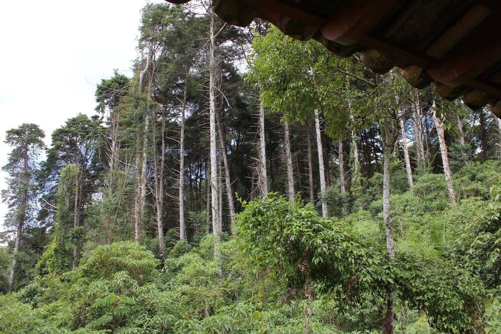 Refugio Em Teresopolis