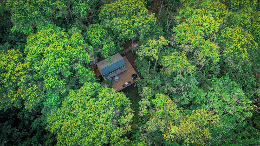 Silvery Bungalows en el Bosque