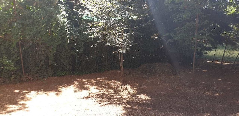 Chalet Ifrane view 2