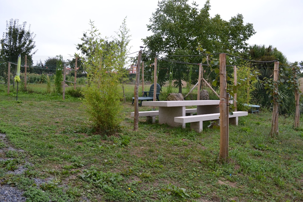 Albergue Montoto - Hostel photo 3