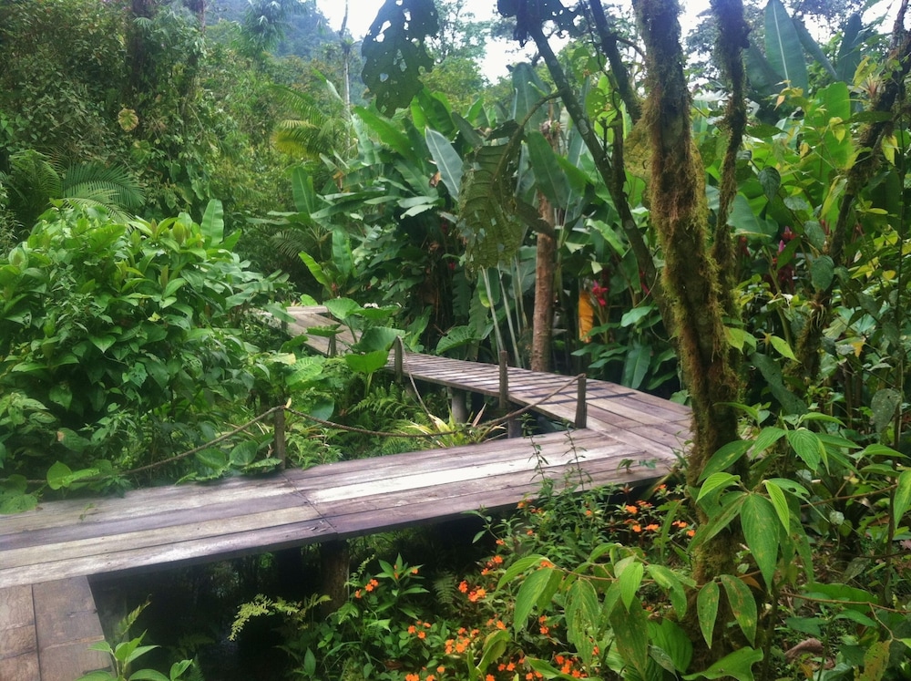 Mindo Garden Lodge