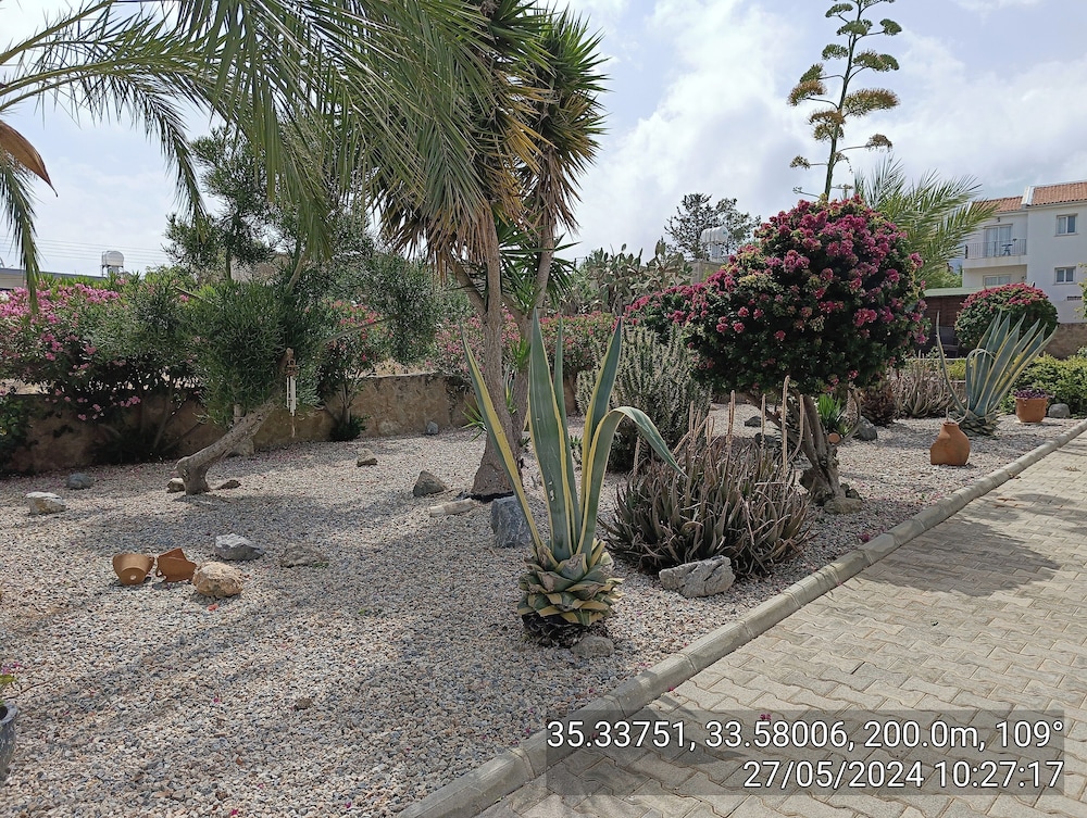 Photo 39